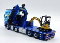 wsi01-4975 + DM85597-4